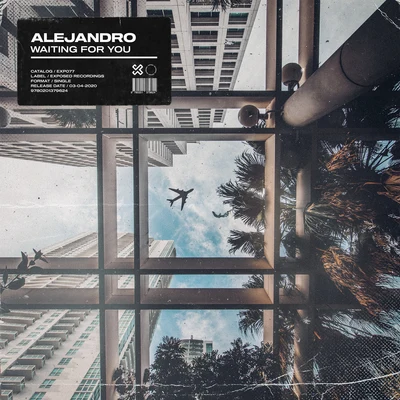 Waiting For You 專輯 Alejandro/The Tag/Quintino & Blasterjaxx/Drops Of Chocolate