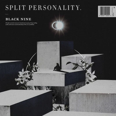 Split Personality 专辑 myunDo/Black Nine/DooYoung