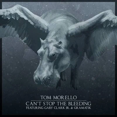 Tom MorelloThe Struts Can&#x27;t Stop The Bleeding