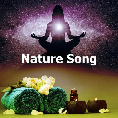 Nature Song 專輯 Asian Zen: Spa Music Meditation