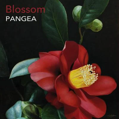 Blossom 专辑 Pangea/Drakphaser/Whrikk