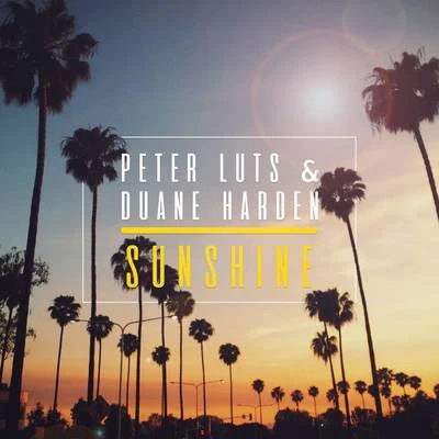 Sunshine (Radio Edit) 專輯 Peter Luts/Jerique