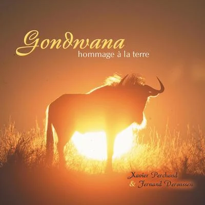 Gondwana, hommage à la Terre 專輯 Ariel Kalma/Gondwana/Ash Dargan/Quintino & Blasterjaxx/Hilight Tribe