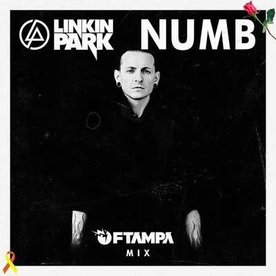 Numb (FTampa Mix) 专辑 FTampa