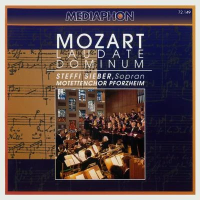 Mozart: Laudate Dominum 專輯 Südwestdeutsches Kammerorchester Pforzheim/Timo Handschuh/Minguet Quartett/David Braccini/Friedemann Wuttke