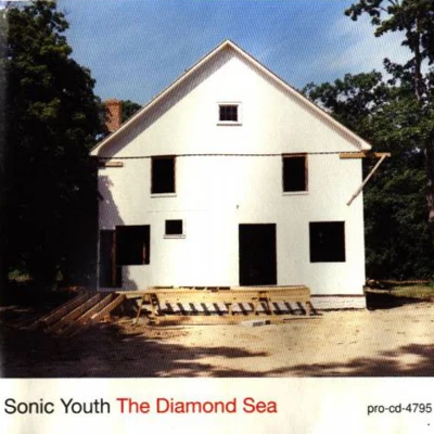 Sonic Youth The Diamond Sea