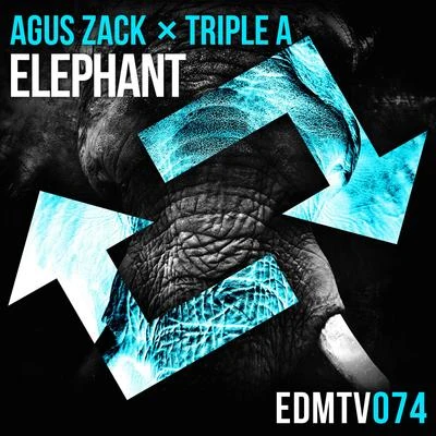 Elephant 專輯 A#Sharp/Agus Zack