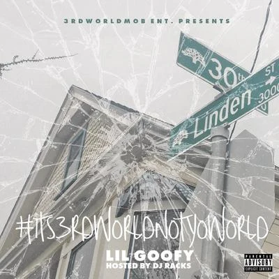 Its3rdworldnotyoworld 專輯 littles/Lil Goofy