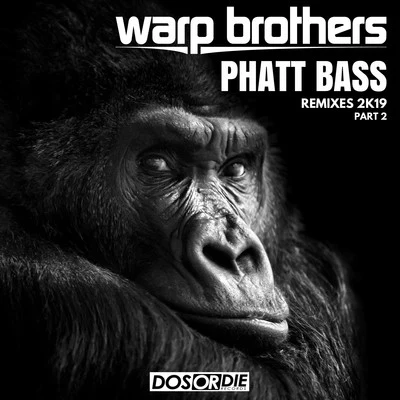 Phatt Bass Remixes, Pt. 2 專輯 Warp Brothers