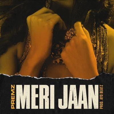 Meri Jaan 专辑 Ayo Beatz/Aman Sangha/Premz/Vilay