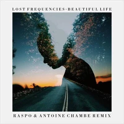 Le ChatelierAntoine Chambe Beautiful Life (Raspo Remix)