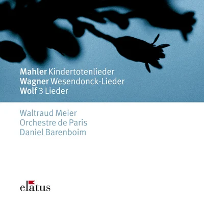 Mahler, Wagner & Wolf : Orchestral Songs-Elatus 專輯 Orchestre de Paris/Christoph Eschenbach/Ian Pace