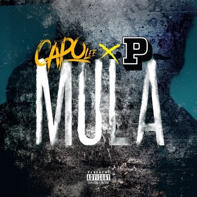 Mula 专辑 Big Zuu/Capo Lee