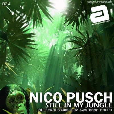 Still in My Jungle 專輯 Nico Pusch