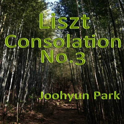 Liszt: Consolation No.3 in D-Flat Major, S. 172 专辑 Joohyun Park/Jerry Goldsmith