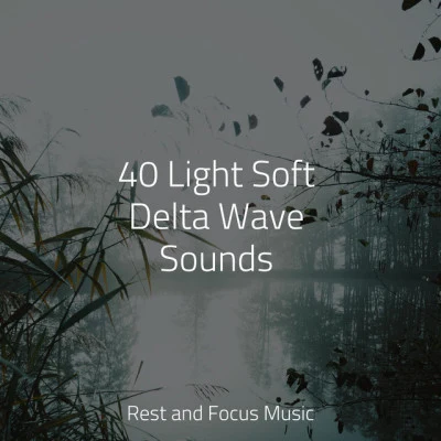 40 Light Soft Delta Wave Sounds 專輯 Deep Sleep Brown Noise/Vacuum Cleaner White Noise/Tinnitus