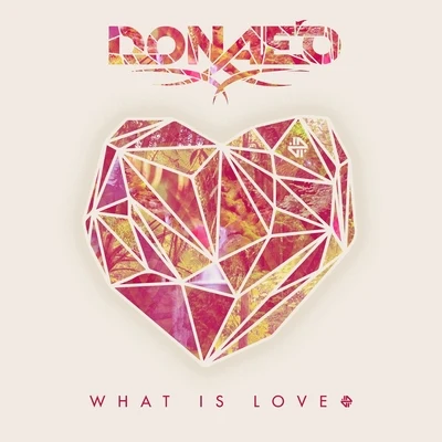 What Is Love (Radio Edit) 專輯 Donaeo