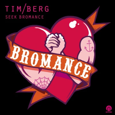 Seek Bromance 專輯 Avicii