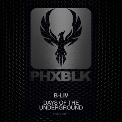 Days Of The Underground 專輯 B-Liv