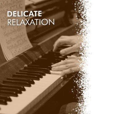 Delicate Relaxation 專輯 Classical Chillout Radio/The Einstein Classical Music Collection for Baby/Classical Music Songs