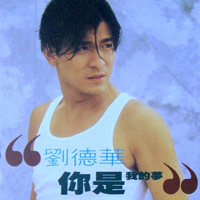 Andy Lau 你是我的梦(Cd Single)