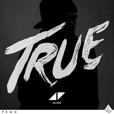 Avicii トゥルー(初回限定盤) [Limited Edition]