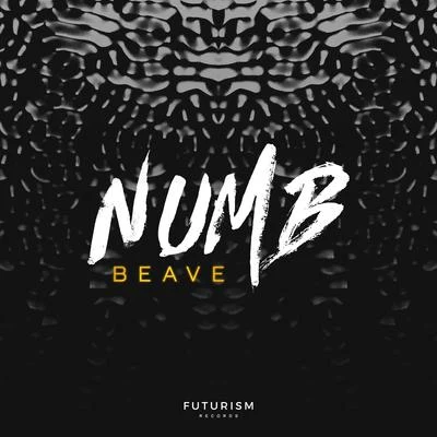 Numb 專輯 Beave/Reynor