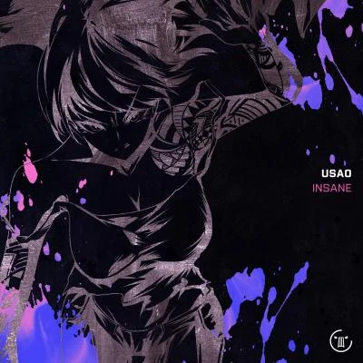 INSANE 專輯 USAO