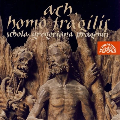 Ach, homo fragilis 專輯 Schola Gregoriana Pragensis