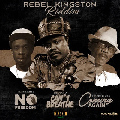 Rebel Kingston Riddim 专辑 Digitaline/Luciano/Uner/Mendo/Reboot