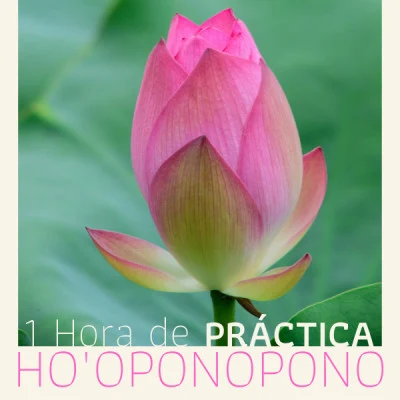 1 Hora de Práctica Hooponopono - Meditación del Perdón y Sanación 專輯 Meditación Maestro