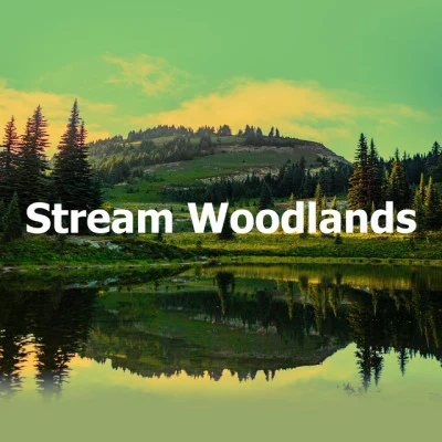 Stream Woodlands 專輯 Echoes Of Nature