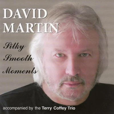 Silky Smooth Moments 专辑 Mike Doolin/David Martín