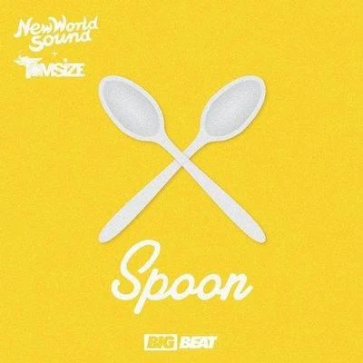 New World Sound Spoon