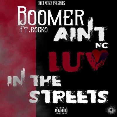 Ain&#x27;t No Luv in the Streetz (feat. Rocko) 专辑 Rocko