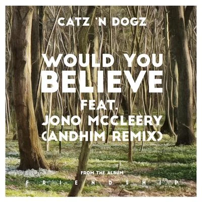 Would You Believe feat. Jono McCleery (andhim Remix) 專輯 Catz N Dogz/Szczyl