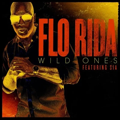 Wild Ones (Feat. Sia) 專輯 Flo Rida