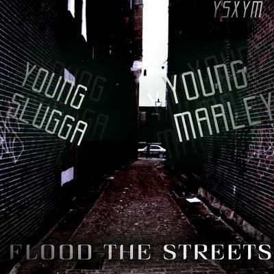 Flood The Streets 专辑 YouNg SluGGa