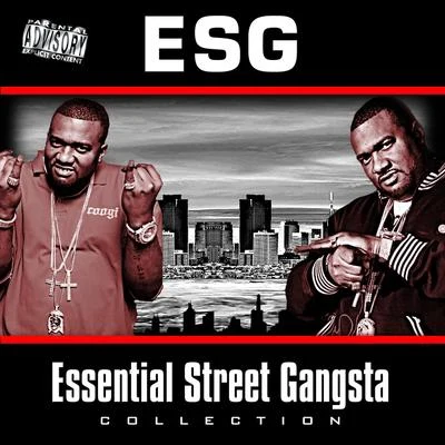 The Essential Street Gangsta Collection 專輯 E.S.G./Camp/D.A./Lil Keke/H.A.W.K.