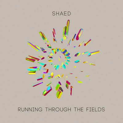 Running Through The Fields 專輯 Shaed/Patrick Metzker/Lil Kleine/VIZE/Jonas Brothers