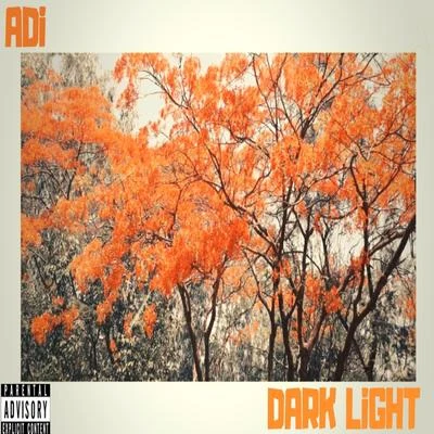 AdiLucas 7 DarkLiGHT