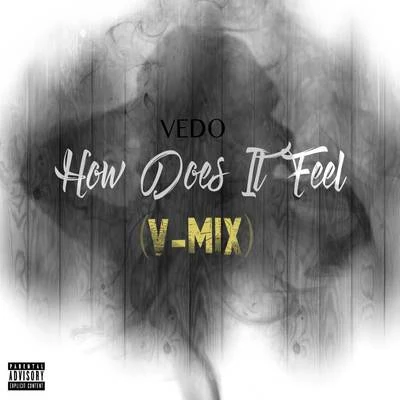 How Does It Feel (V-Mix) 专辑 Vedo