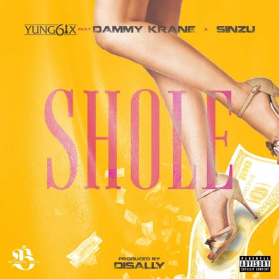 Shole (feat. Dammy Krane & Sinzu) 专辑 Nakamura/Yung6ix/Mr. Eazi