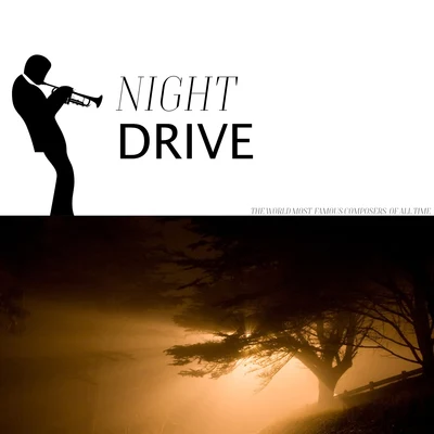 Night Drive 專輯 André Kostelanetz