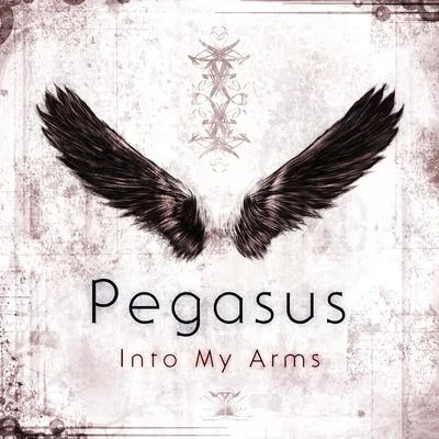 Into My Arms 專輯 Pegasus