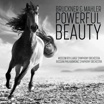 Bruckner & Mahler: Powerfull Beauty 专辑 RTV Moscow Large Symphony Orchestra/Moscow RTV Large Symphony Orchestra/Vladimir Fedoseyev