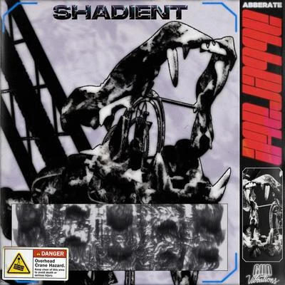 Abberate 專輯 Shadient/SLANDER/Leotrix/Dylan Matthew/Moody Good