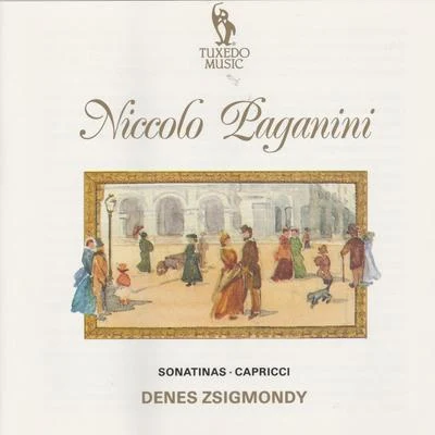 Niccolò PaganiniSergei Stadler Paganini: Zsigmondy Plays Paganini