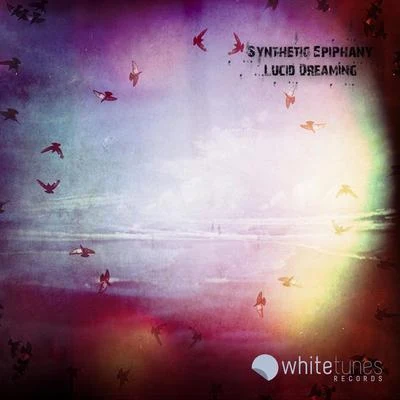 Lucid Dreaming 专辑 COM.A/Synthetic Epiphany