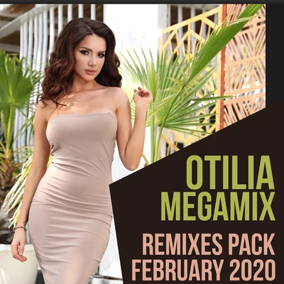 Megamix (Remixes) 专辑 Y3MR$/Otilia